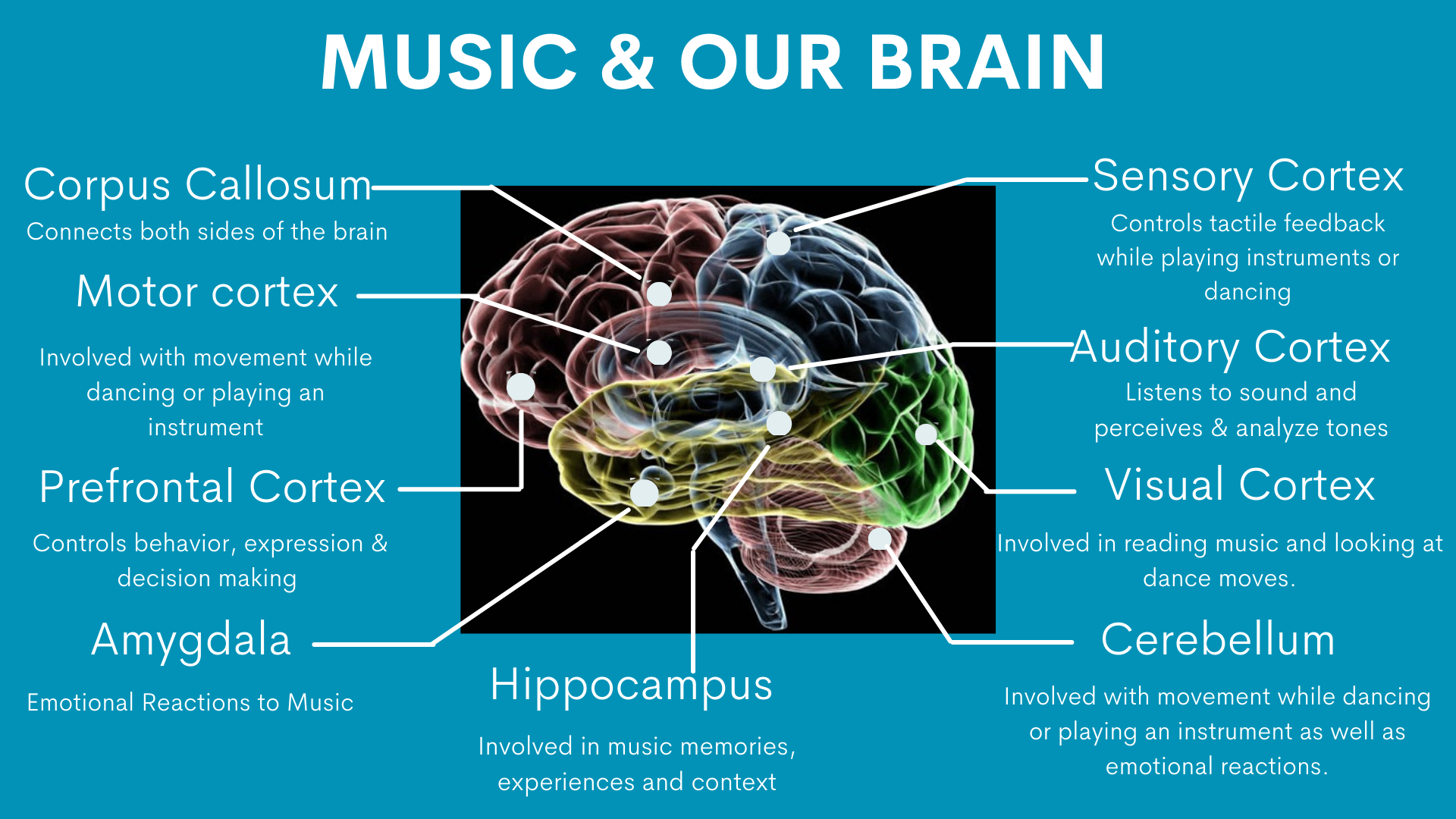 Symphony of Synapses: The Brain's Intricate Dance with Music